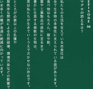 Episode 06マグロの消える日？